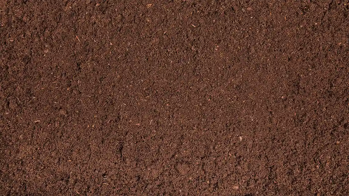 Bild zeigt Muttererde, gesiebt in Draufsicht.